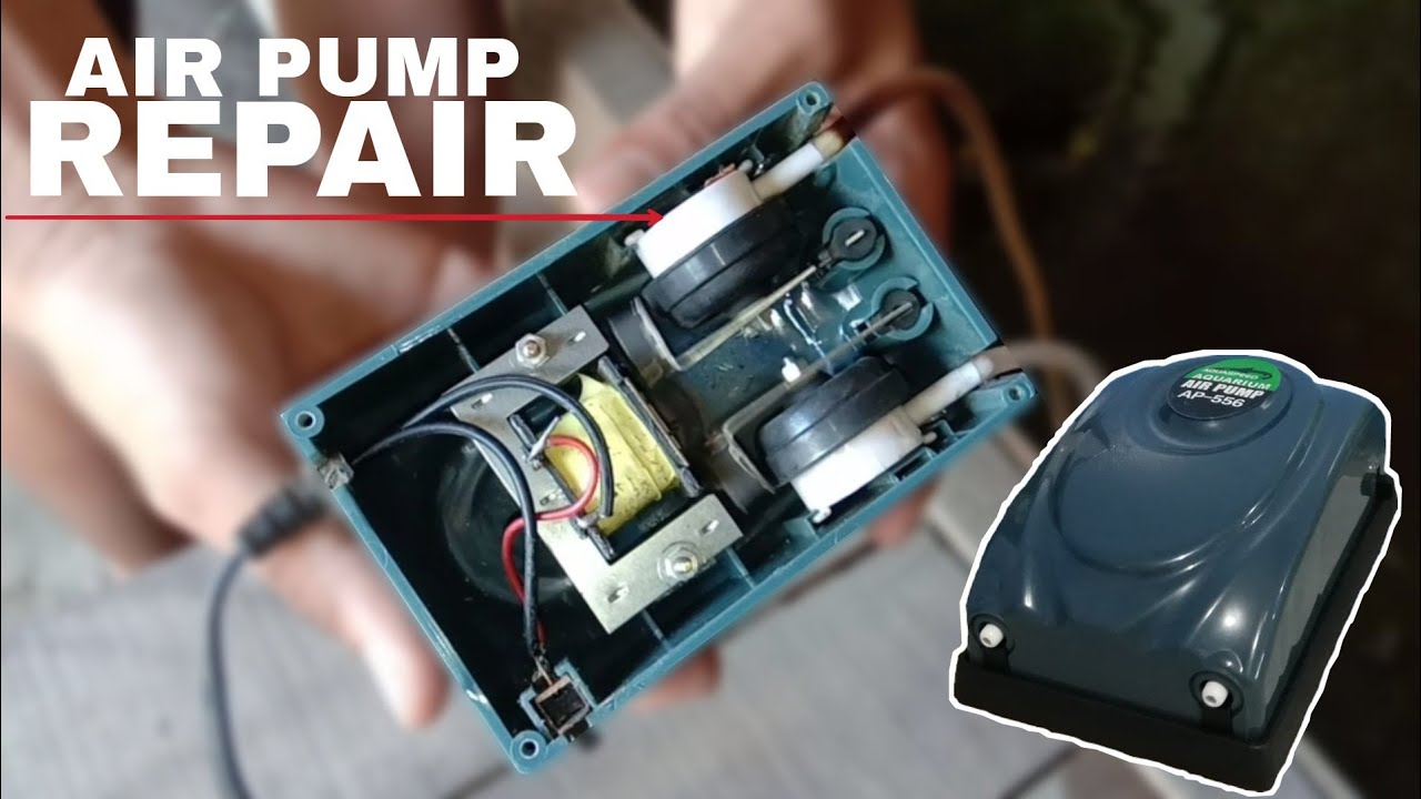 HOW TO REPAIR AQUARIUM AIR PUMP Aquaspeed Air Pump 5watts