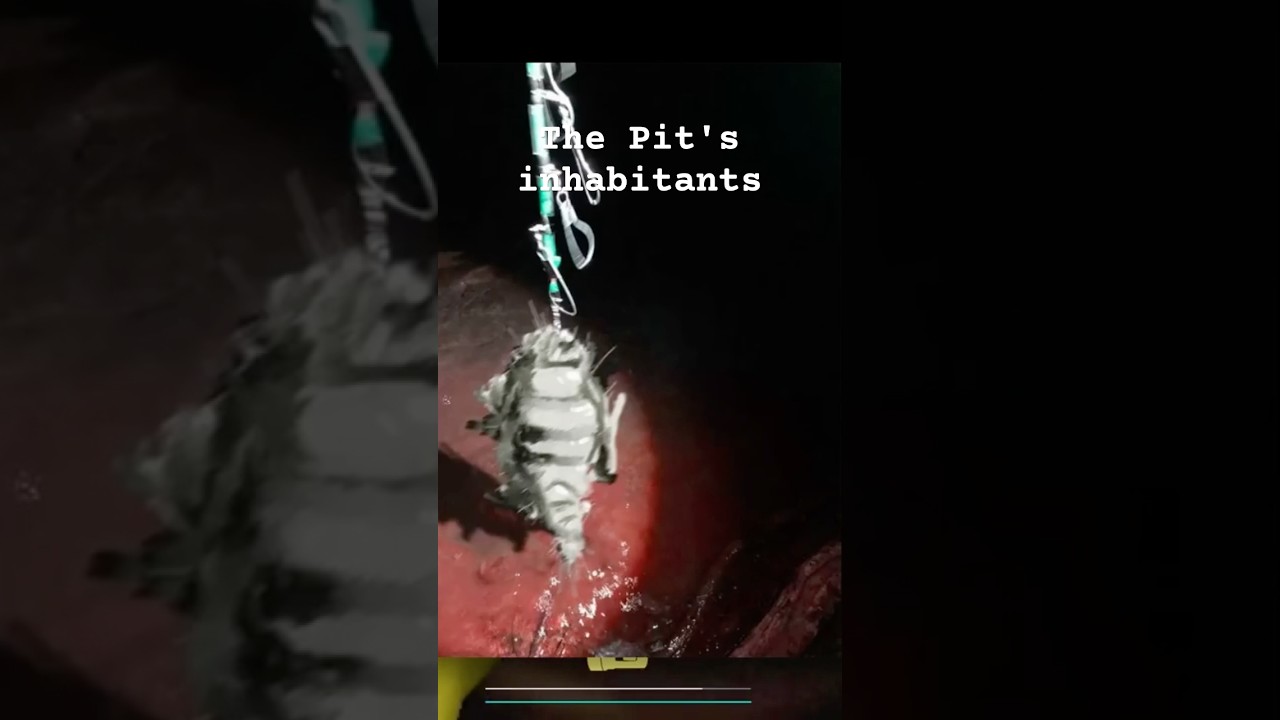 The Creatures of Mystery Flesh Pit National Park #horror #scarystories #videoessay