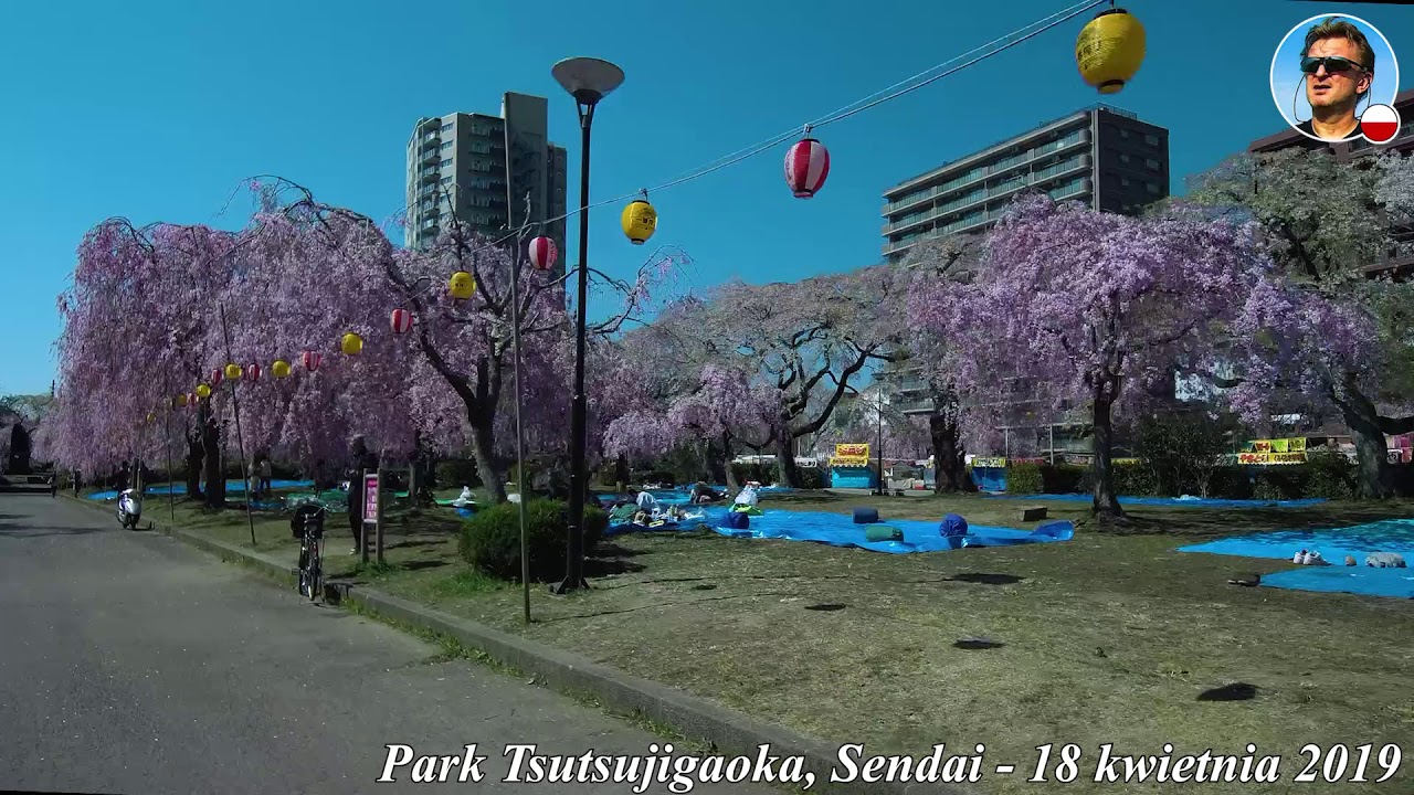Japonia, Rowerem po Tsutsujigaoka Park w Sendai