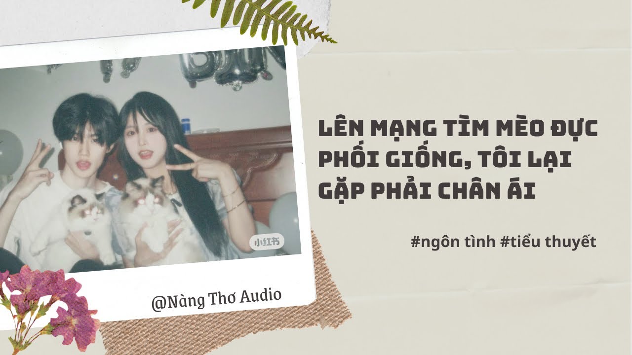 Full Audio | LÊN MẠNG TÌM MÈO ĐỰC PHỐI GIỐNG, TÔI LẠI GẶP PHẢI CHÂN ÁI