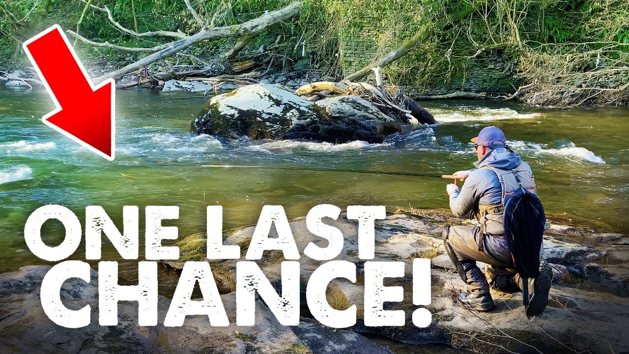 It&rsquo;s now or never! My last day on the Grayling &ndash; River Taff, South-Wales, UK, 2025