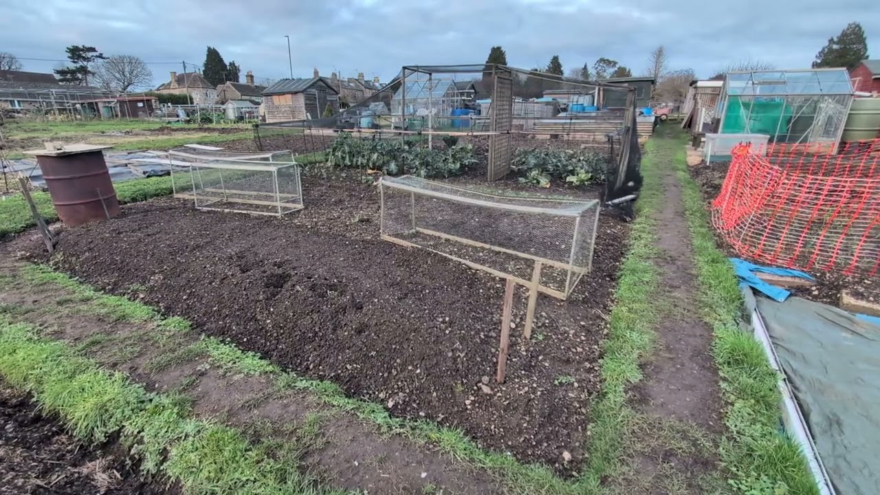 Traditional allotment working