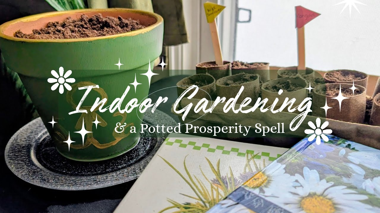Indoor Gardening & A Potted Prosperity Spell