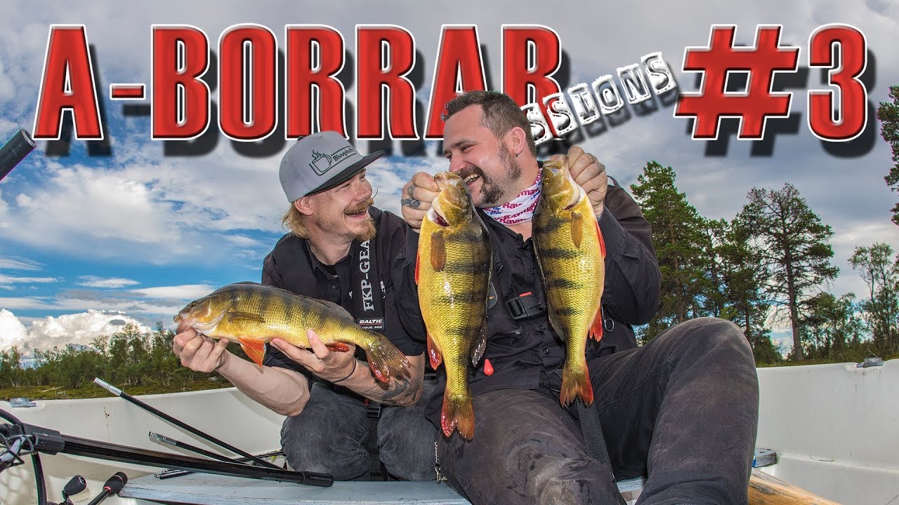 A-Borrar sessions #3