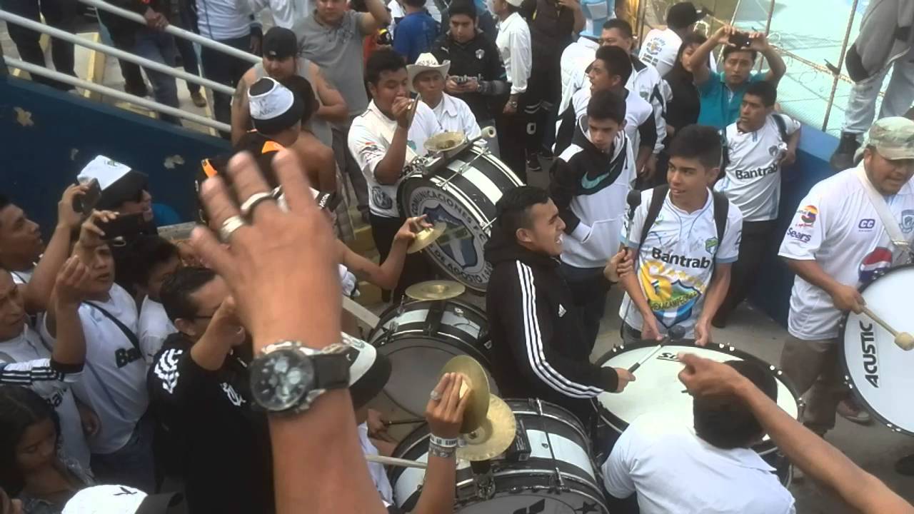 ¡La banda del albo ya llegó! - Vltra Svr