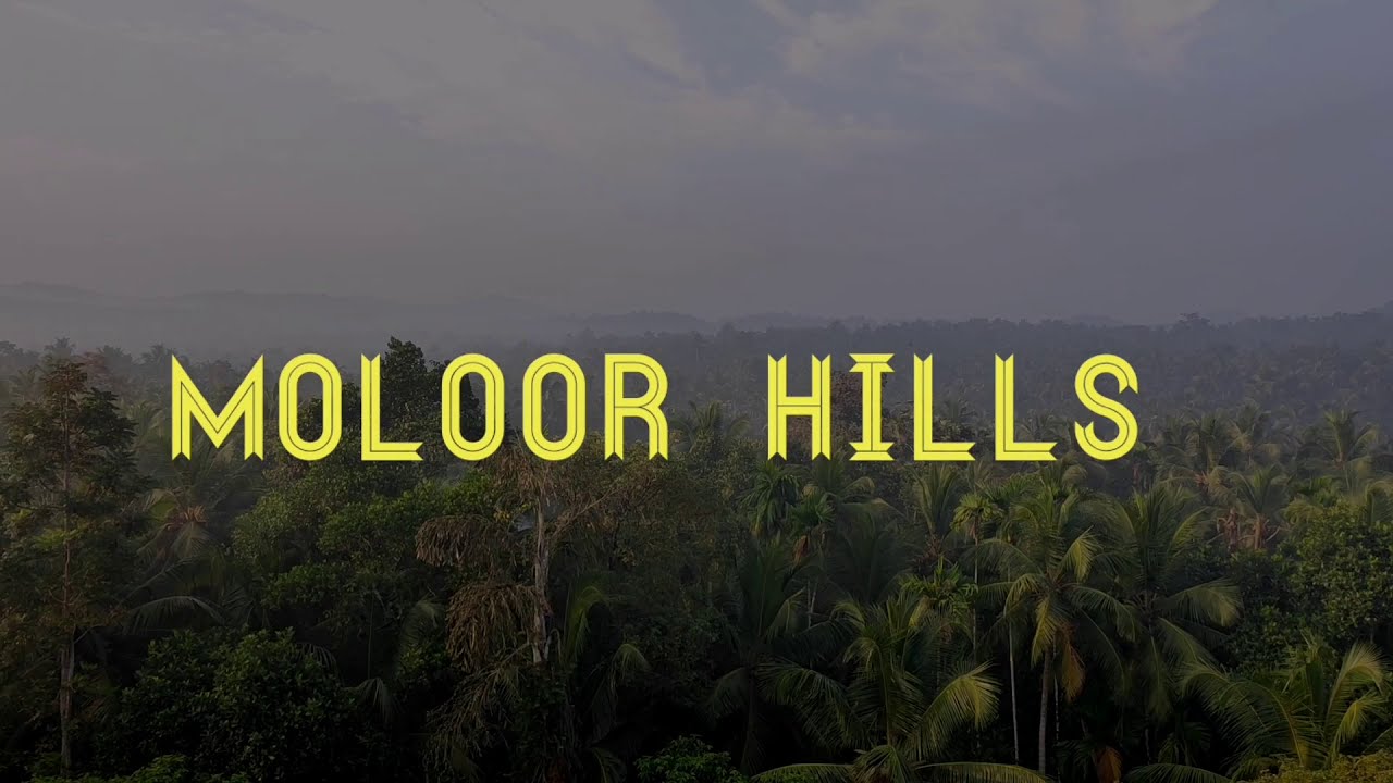 MOLOOR HILLS