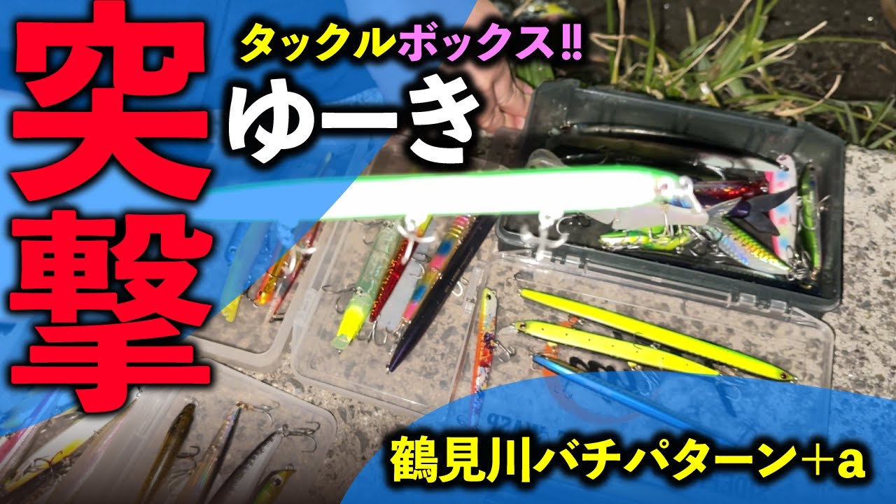 【突撃タックルボックス】ゆーき鶴見川シーバス攻略ルアー