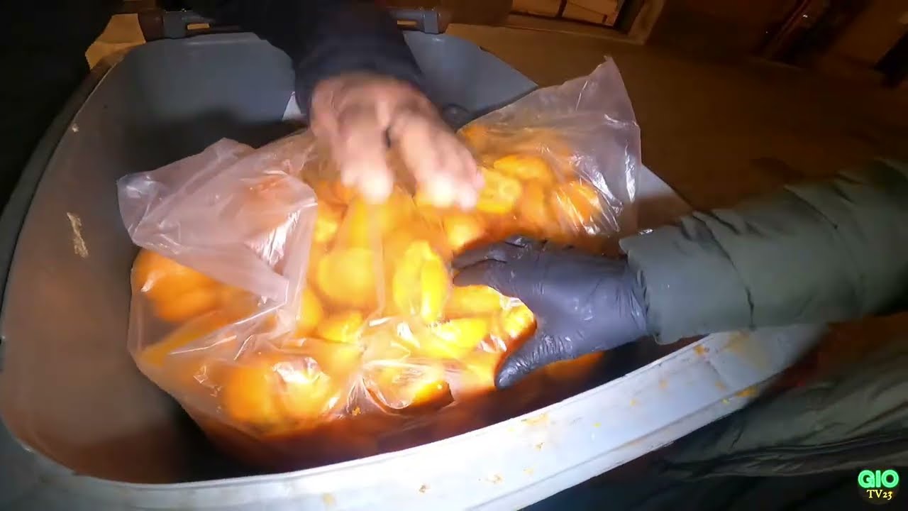Dumpster Diving | Jackpot kami 