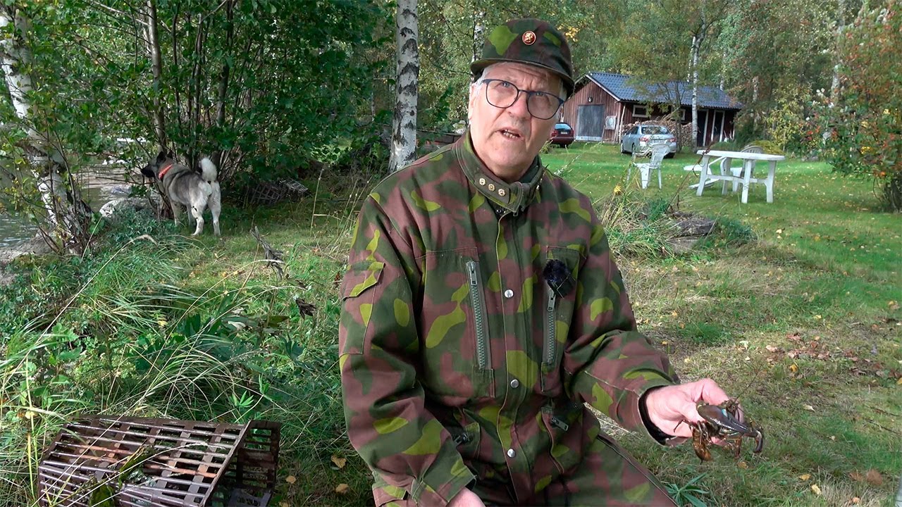 Kuukauden konkari: Hannu Wirola mittailee saksiniekkoja