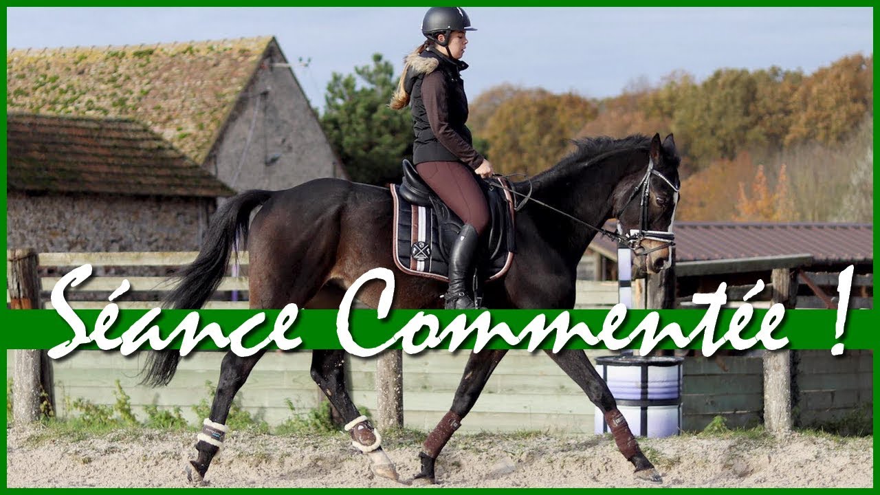 SÉANCE - ON SAUTE EN SELLE DE DRESSAGE ! 🤫