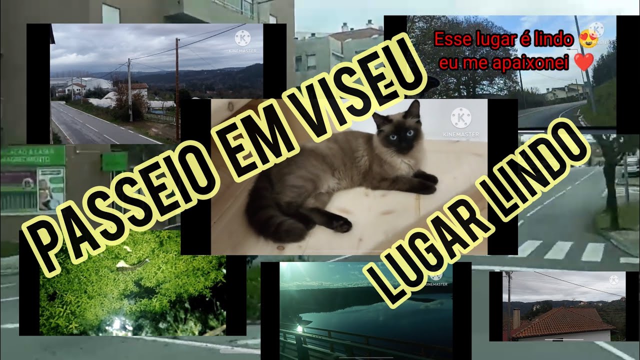 Viagem para Viseu(São Pedro do Sul).