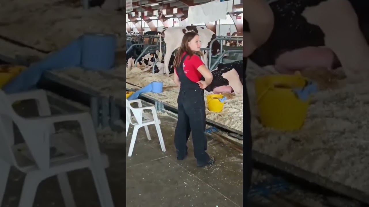 italy dairy