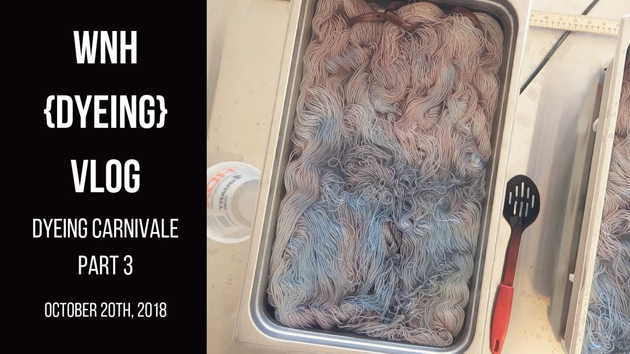 The {Yarn Dyeing} Vlog-Dyeing Carnivale Part 3 with Fiber for the People™ (Oct. 20, 2018)