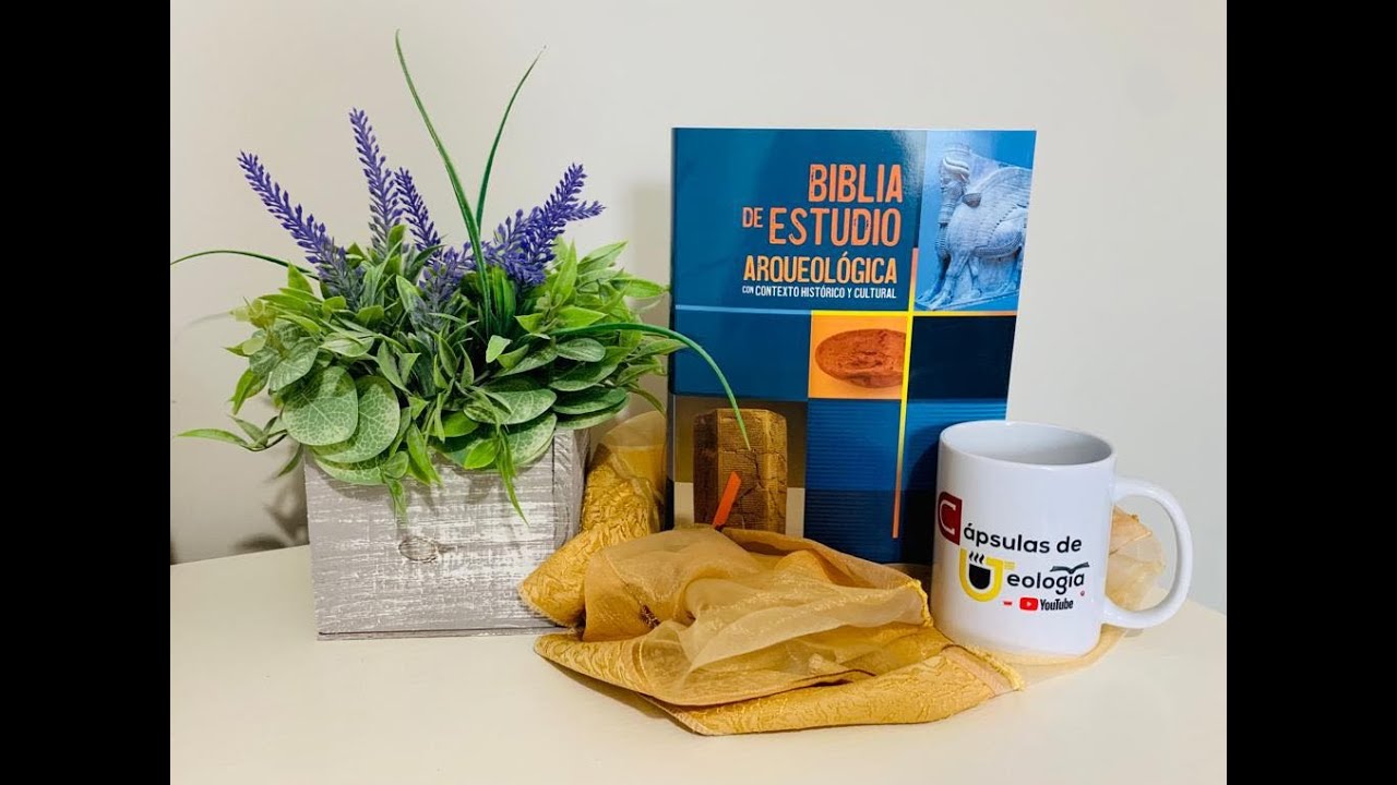 ¡Cápsulas 💊 de Teología!  