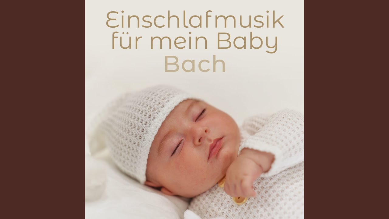 Flute Sonata in B Minor, BWV 1030: II. Largo e dolce
