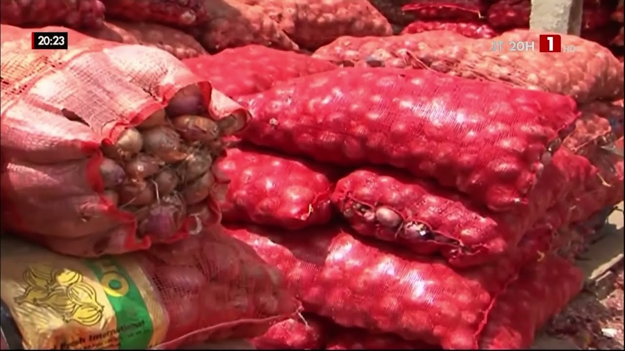 USINE DE DÉSHYDRATATION DE ROSS BÉTHIO : Un tournant pour l’agro-industrie sénégalaise