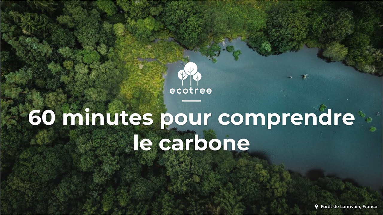 60 minutes pour comprendre le carbone | EcoTree