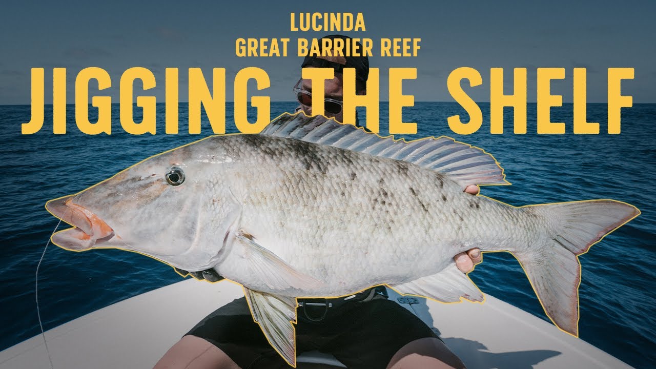 Jigging The Shelf - Lucinda Far North Queensland - Day 2