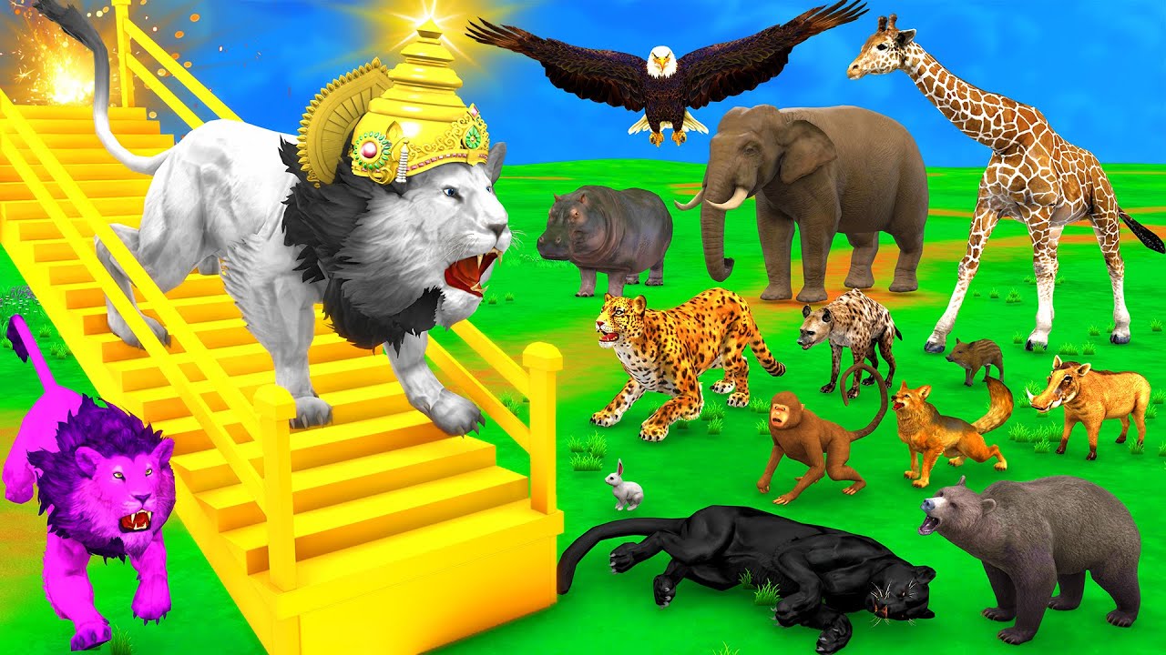 जादुई सीढ़ियाँ और सफेद शेर बना जंगल का राजा Magical Staircase aur Saphed Sher Funny Animals Videos