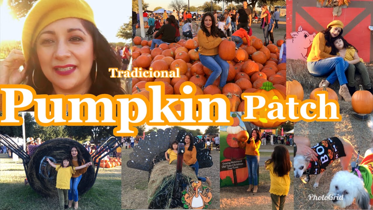 FALL VLOG 🍁🎃PUMPKIN 🎃 PATCH 2019 TRADITIONAL  (oknormitavlogs)🍁🎃🍂
