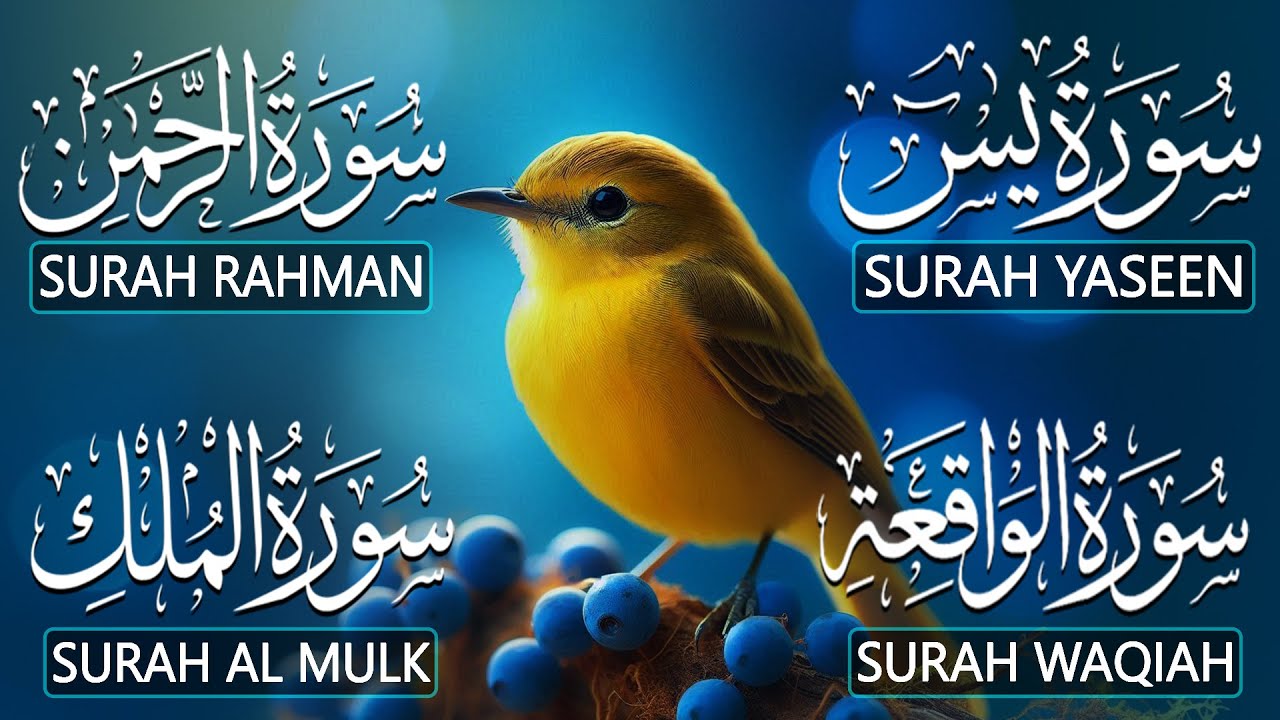 Most Beautiful Surah Yaseen (Yasin) | Surah Rahman | Surah Waqiah | Surah Mulk