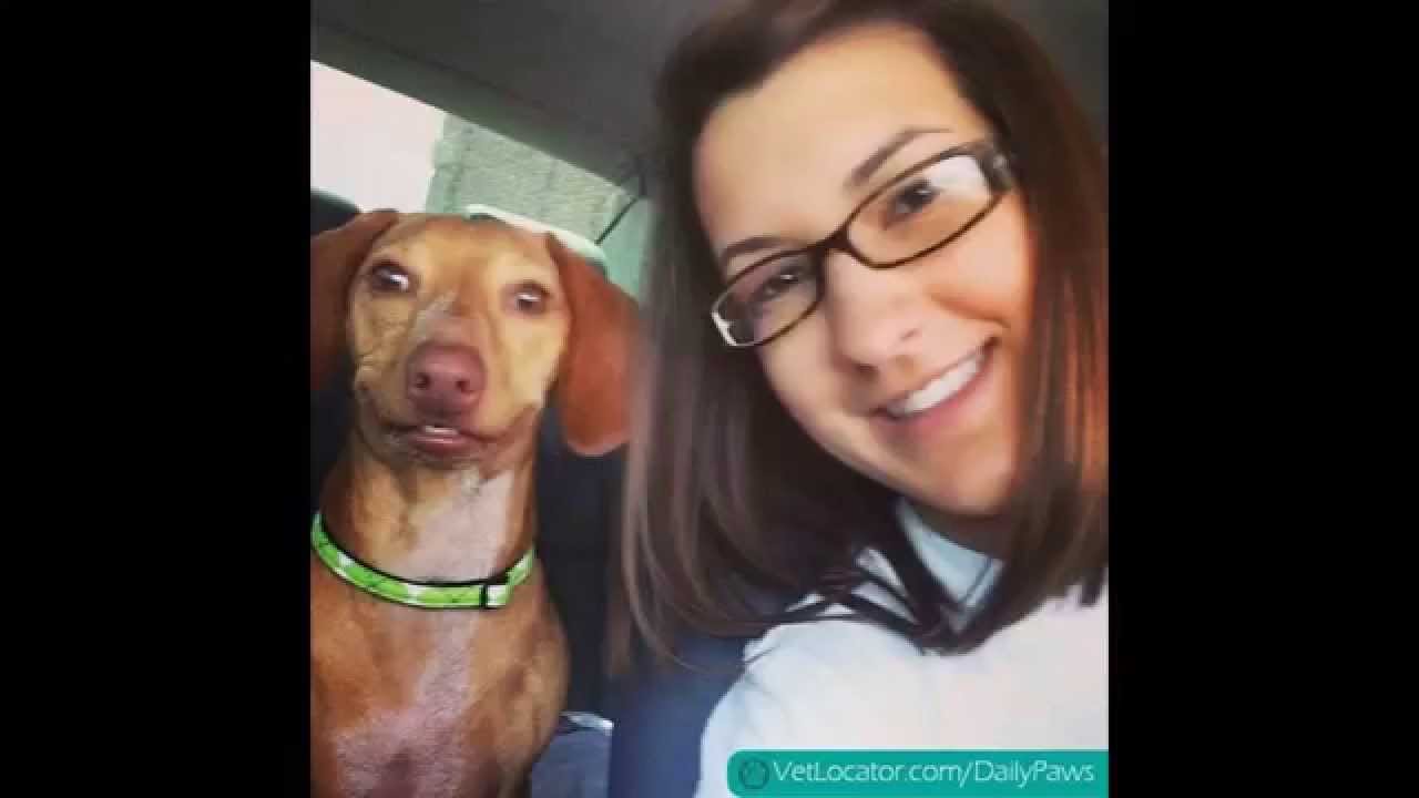 Самые смешные и экстремальные селфи! / Funny and extreme selfies!)