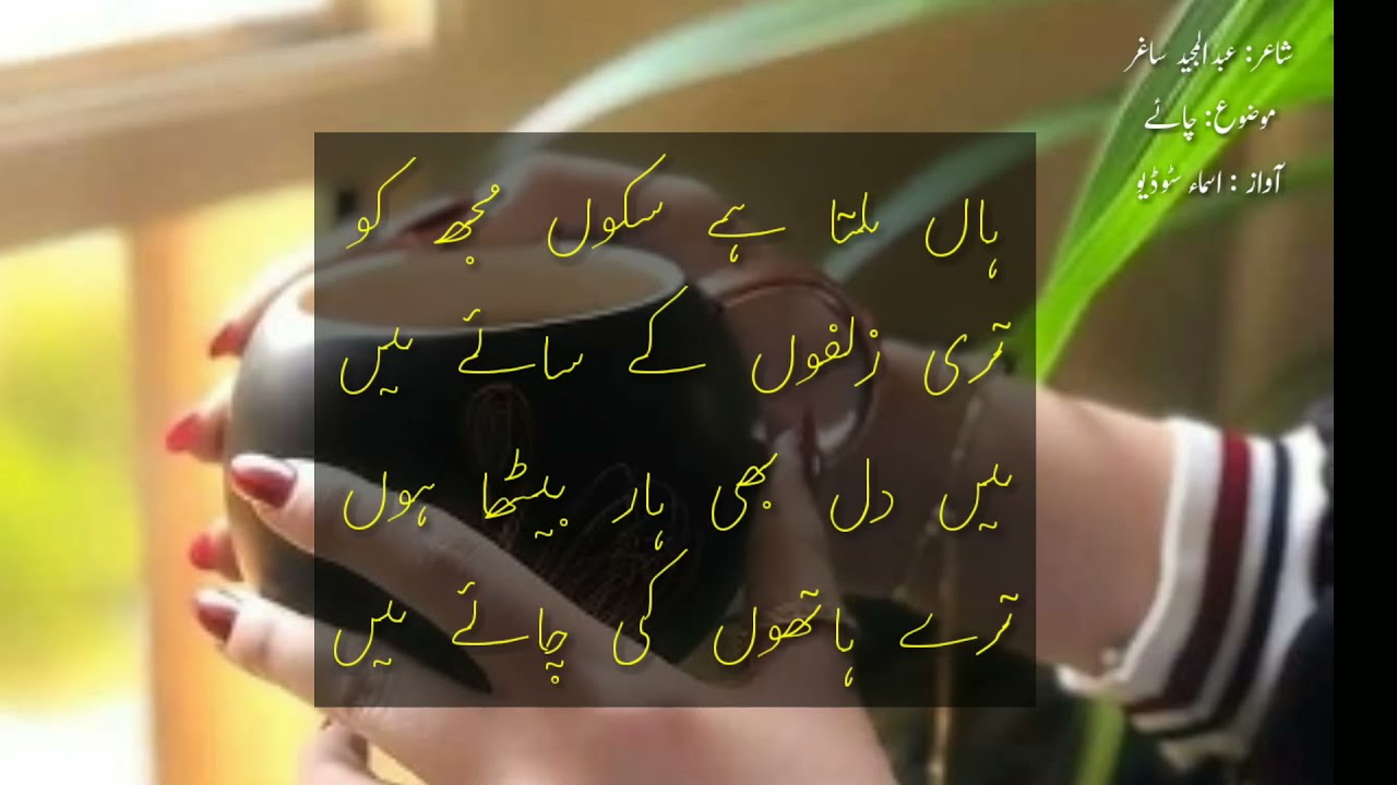 Chai Poetry | Tea poetry status | chai lovers | whatsapp status collection @AllAboutPak