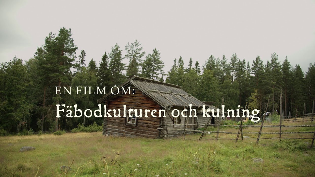 Fäbodkulturen och kulning Trailer (Sol7621)