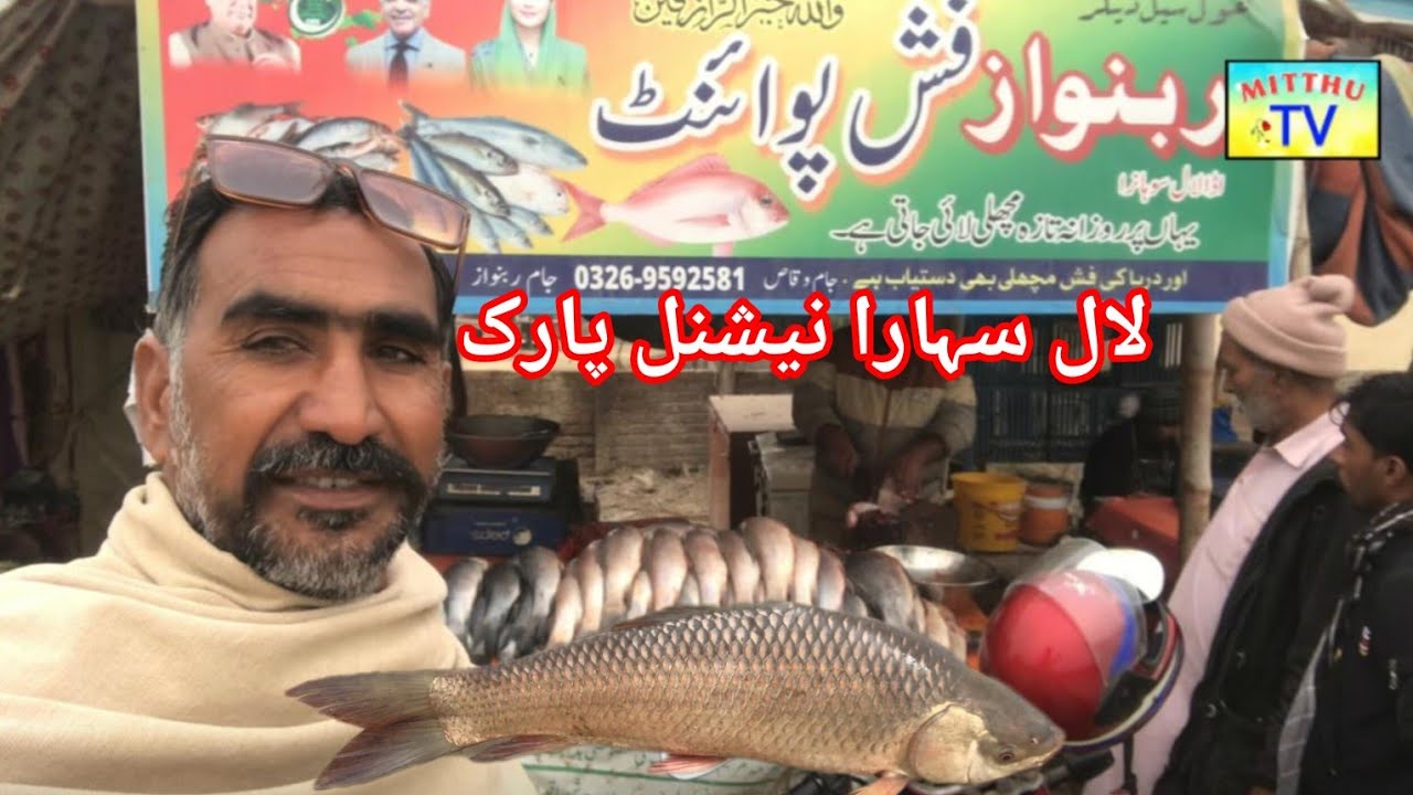 Dariya Dariya Satluj ka taaja fish Mein chhutti Hui Mitthu TV