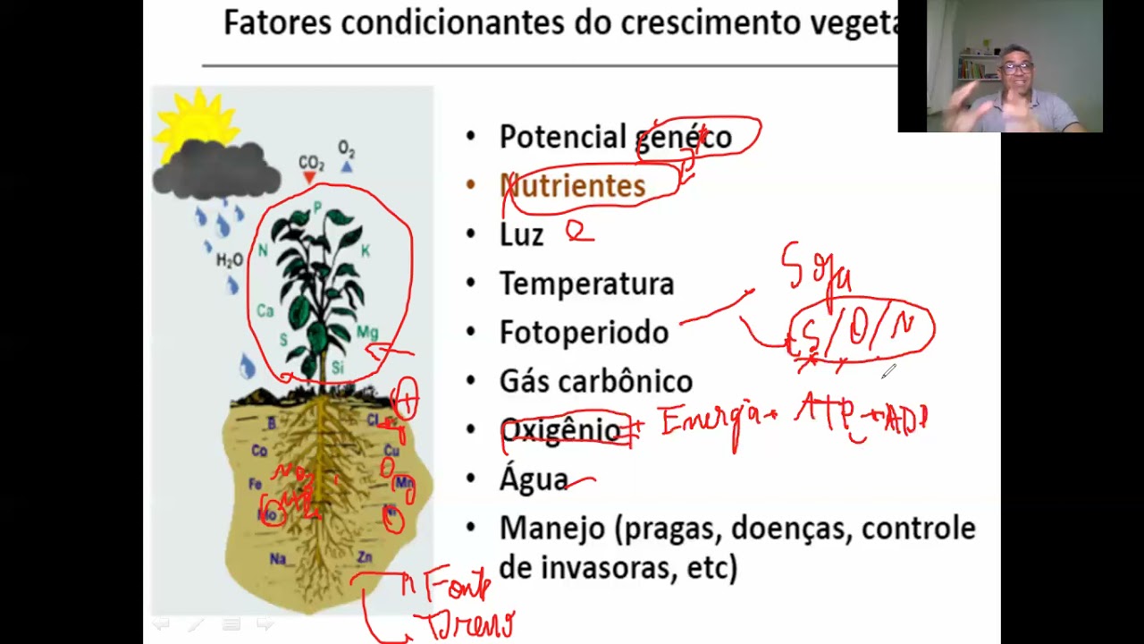 Mentoria de Interpretação de análise  de solos