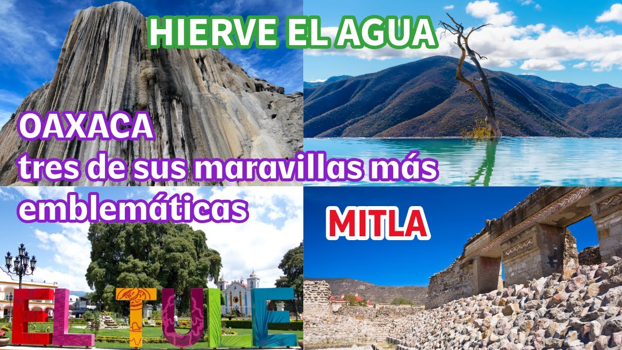Descubriendo Oaxaca: Un Viaje entre Árboles Milenarios, Ruinas y Aguas Sagradas