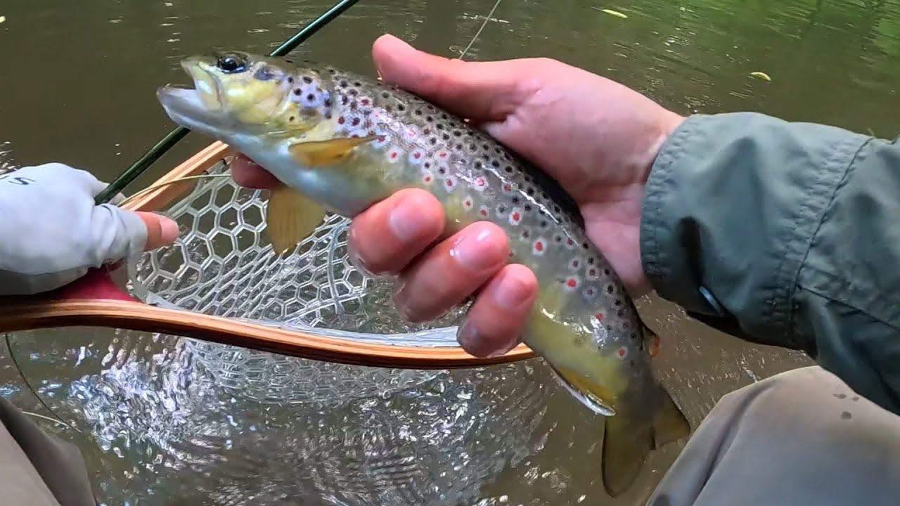 Angeln am kleinen Bach mit Überraschungen 🎣😶
