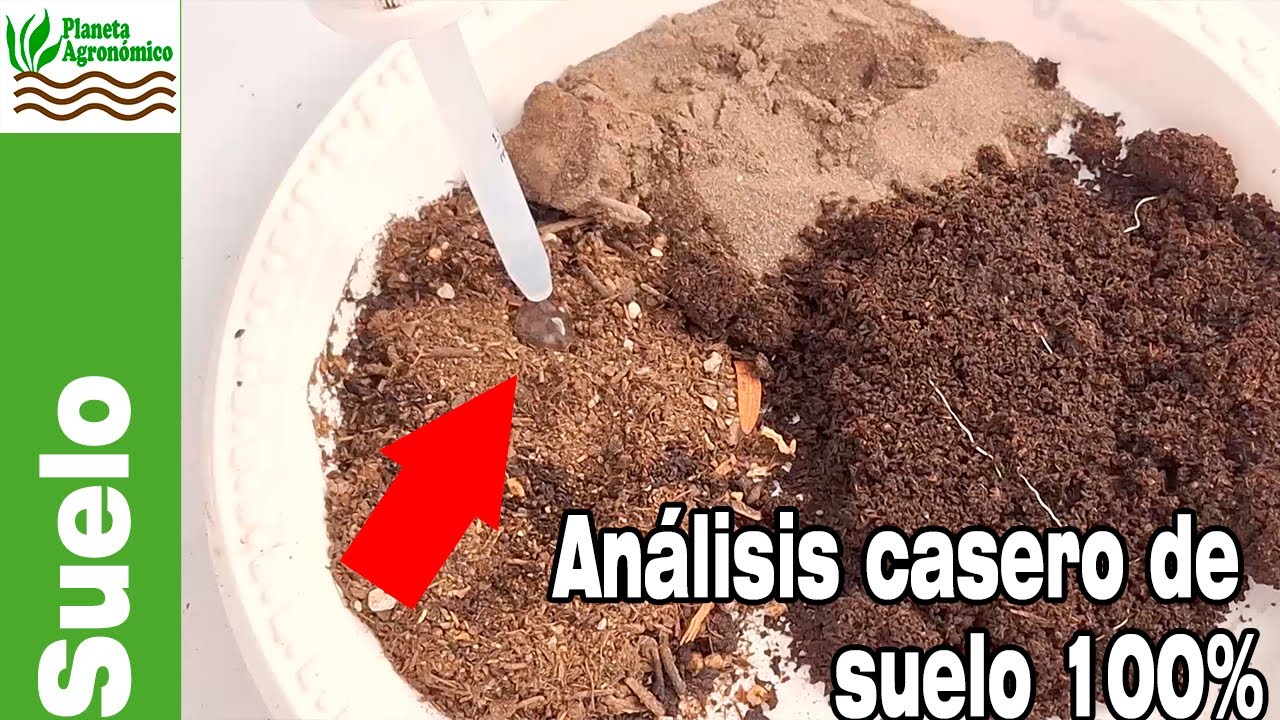 Cómo hacer un ESTUDIO DE SUELO 100% CASERO 🌱🌱🌱