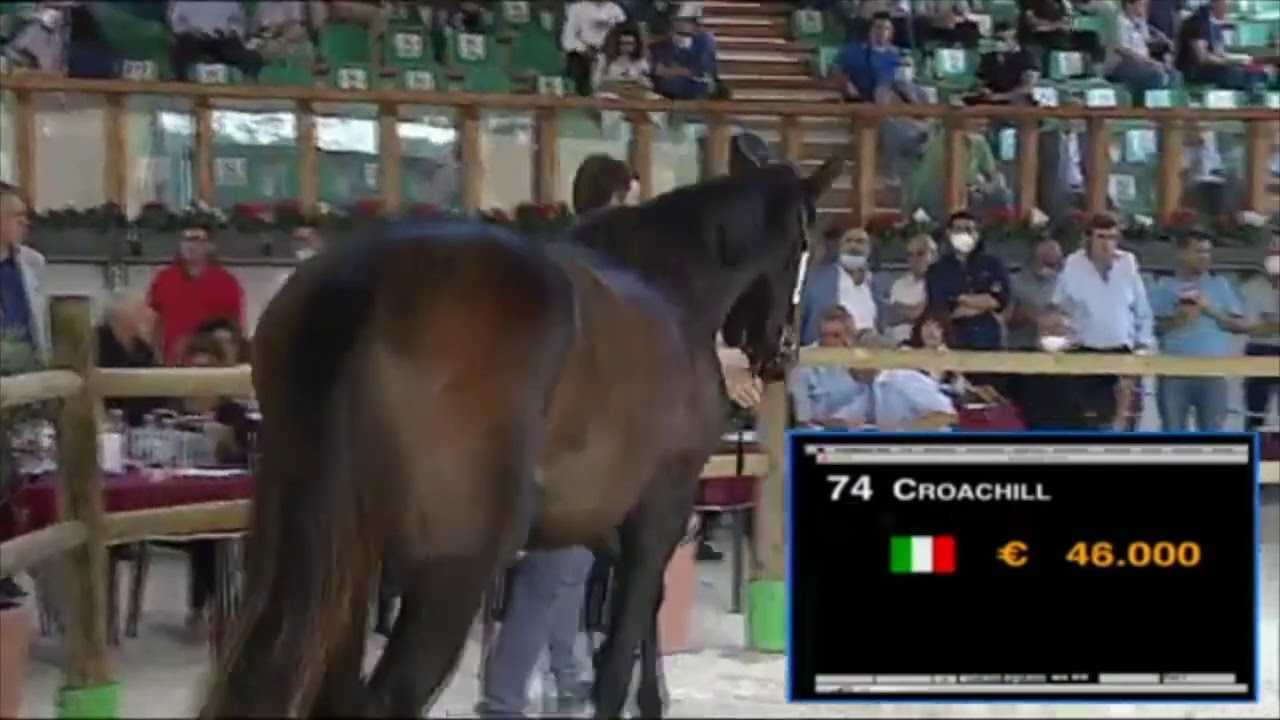 n.74 Churchill e Cronsa
