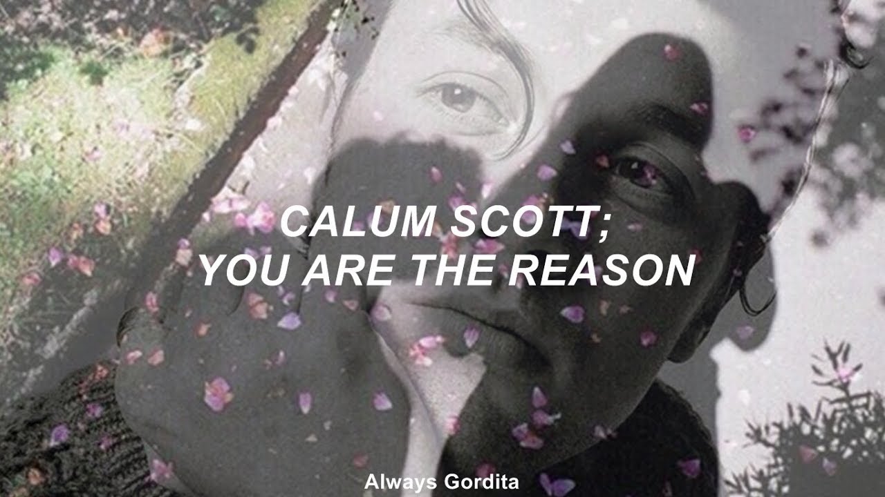 Calum Scott - You Are The Reason (Traducida al Español)