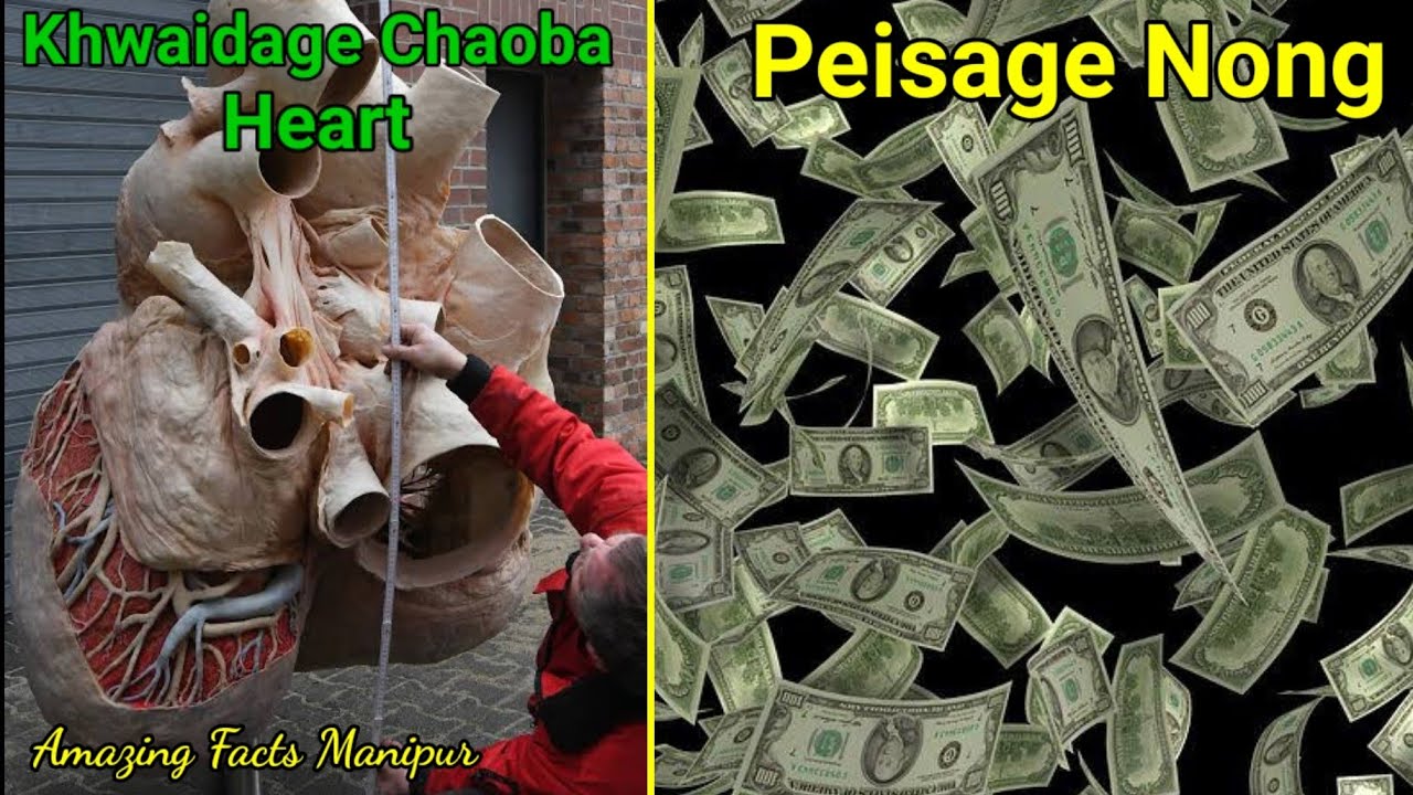 Khwaidage Chaoba Heart || Peisage Nong