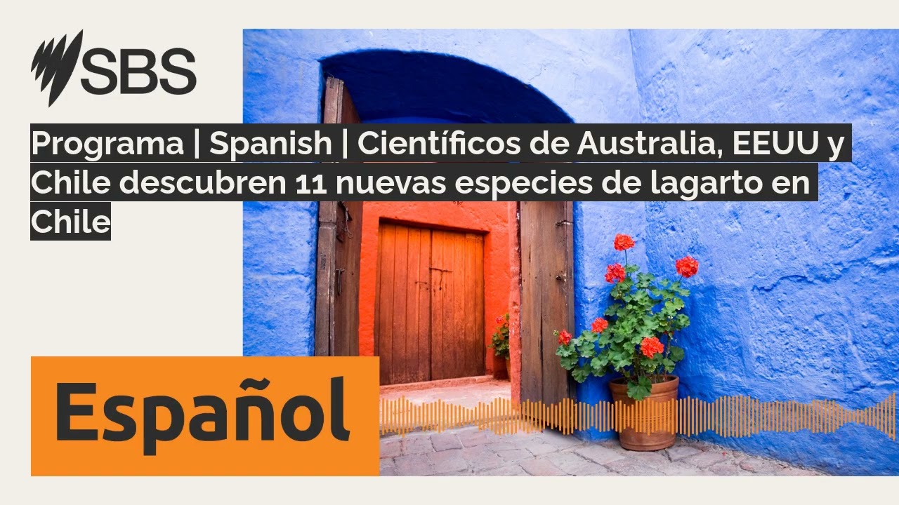 Programa | Spanish | Científicos de Australia, EEUU y Chile descubren 11 nuevas especies de...