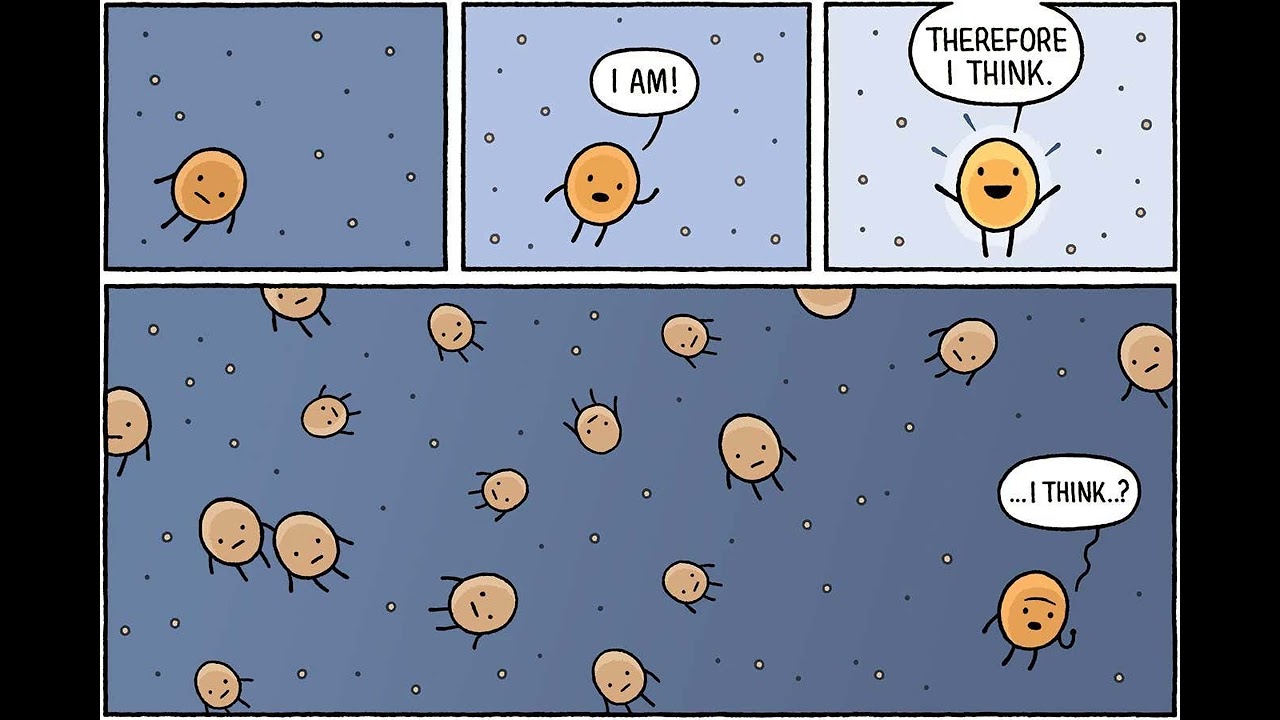 Molecules That 