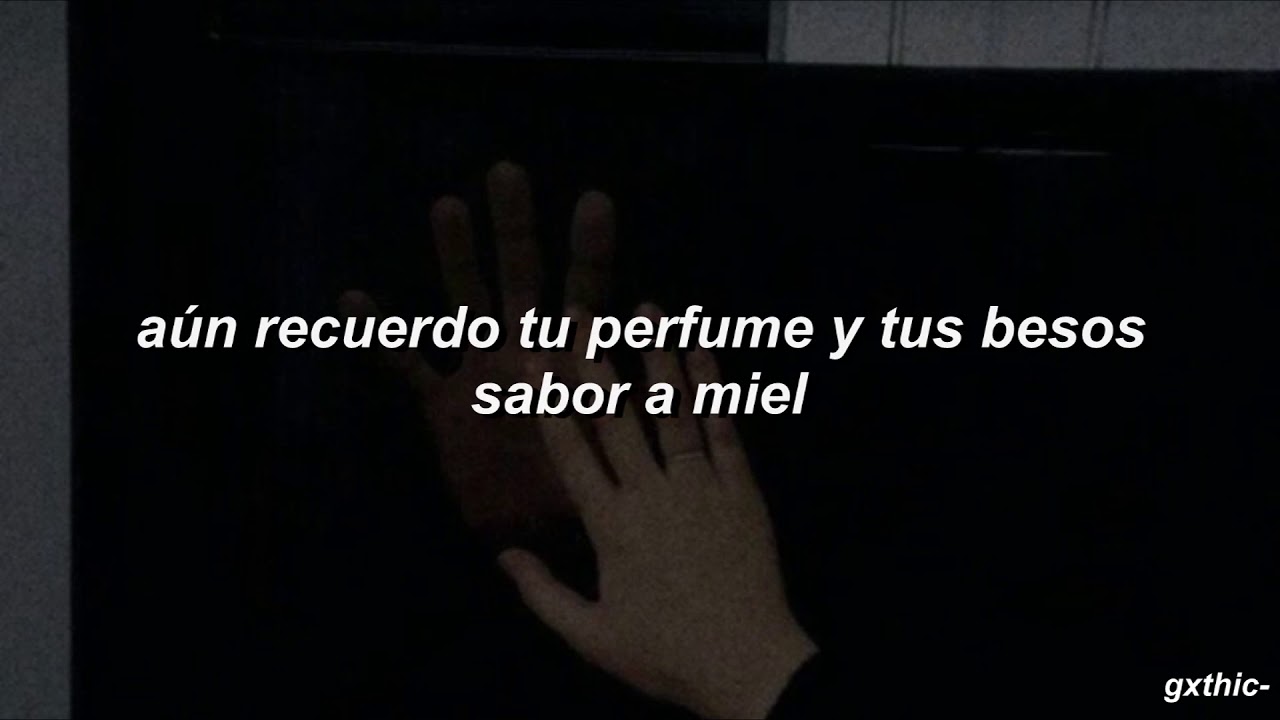 jauria santa // cada noche // letra