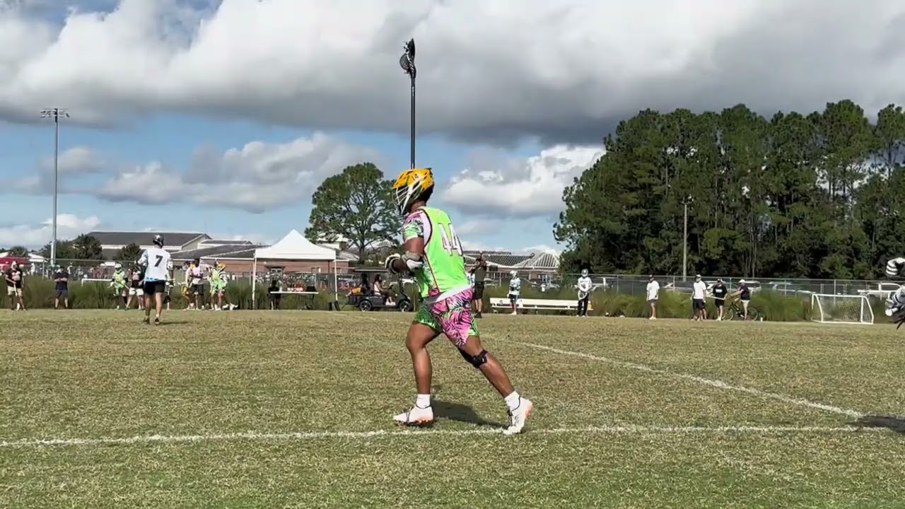 Fall Flamingoes 2025