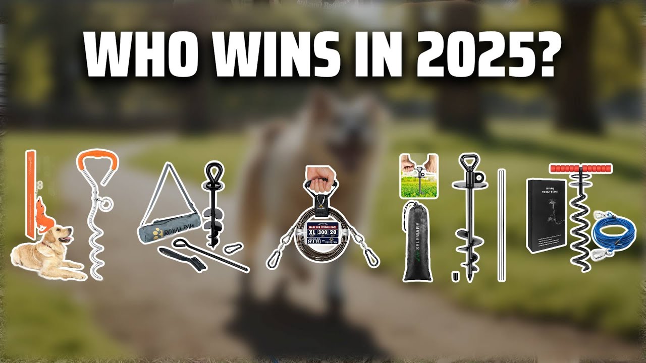 The Top 5 Best Dog Tie Outs in 2025 - Must Watch Before Buying!