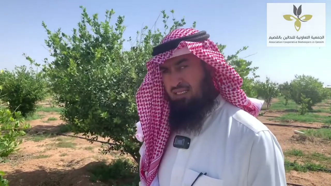 29 مايو، 2024