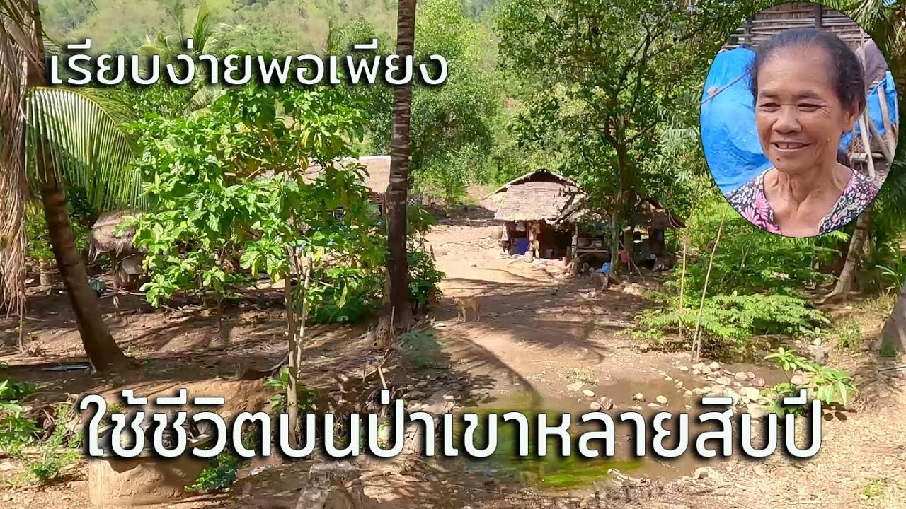 พบครอบครัวหนึ่ง พอใจในความเป็นอยู่ ใช้ชีวิตอย่างพอเพียงและเรียบง่ายบนป่าเขาหลายสิบปี