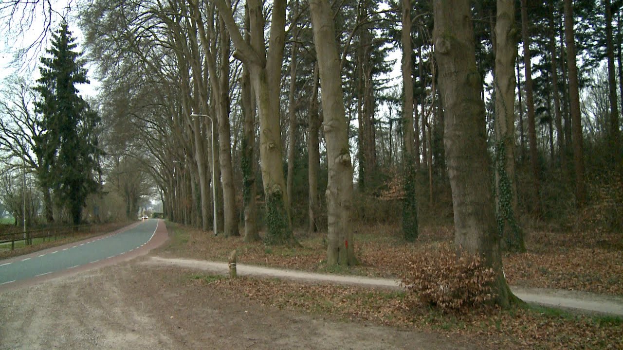 Traasterbos Bathmen locatie natuurbegraafplaats? : 