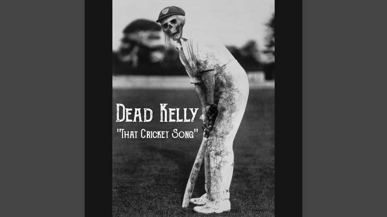 That Cricket Song
