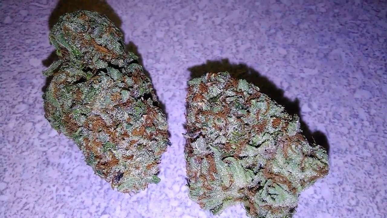 Sunset Cookies
