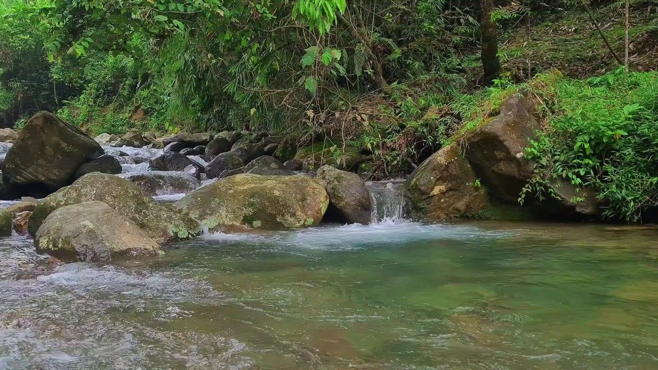 River Energy Ambience | Peaceful Stream for Healing and Better Sleep