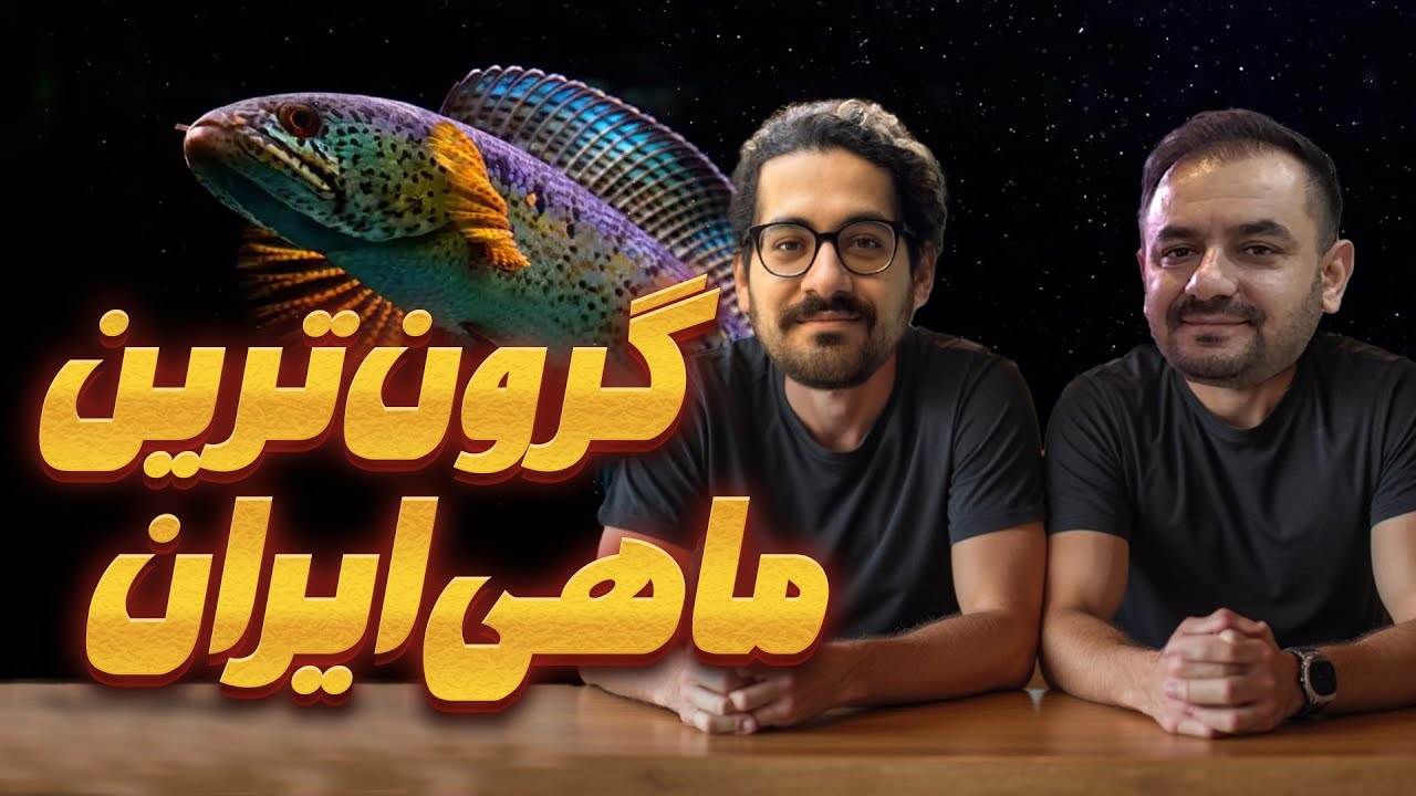 گرون ترین ماهی ایران با یک مهمان ویژه😍💰