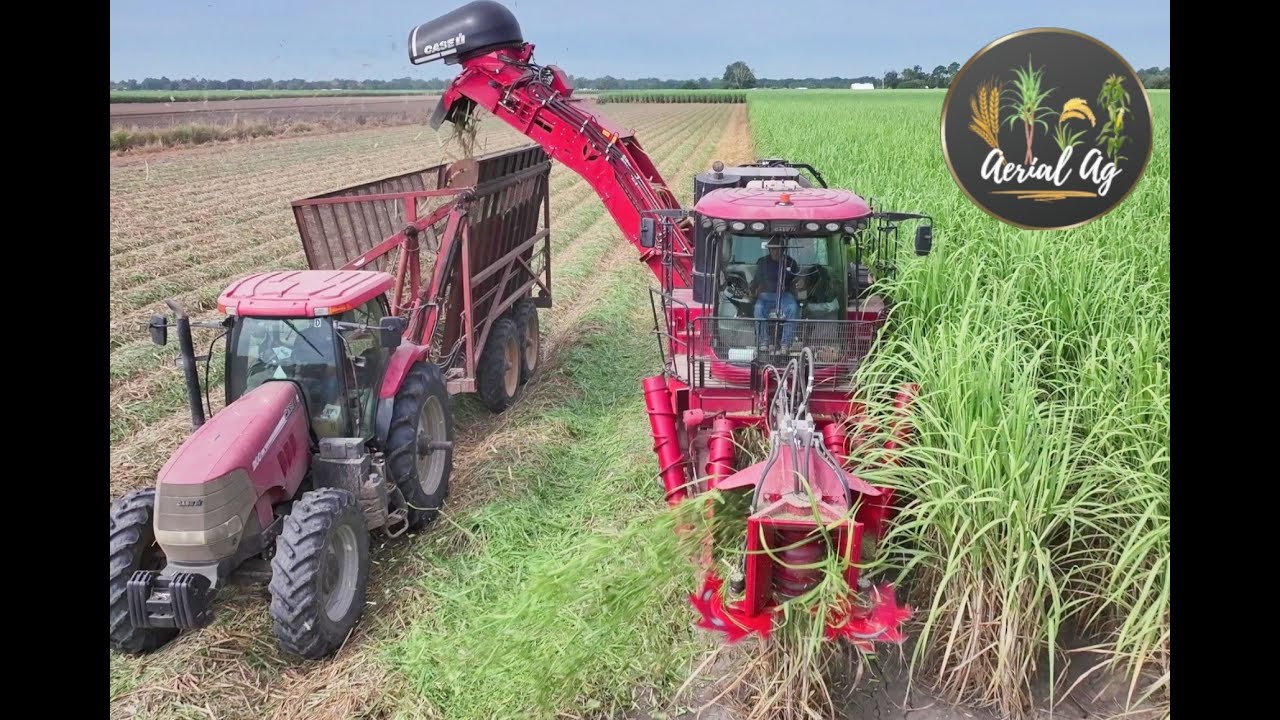 Louisiana Sugarcane Billet Planting