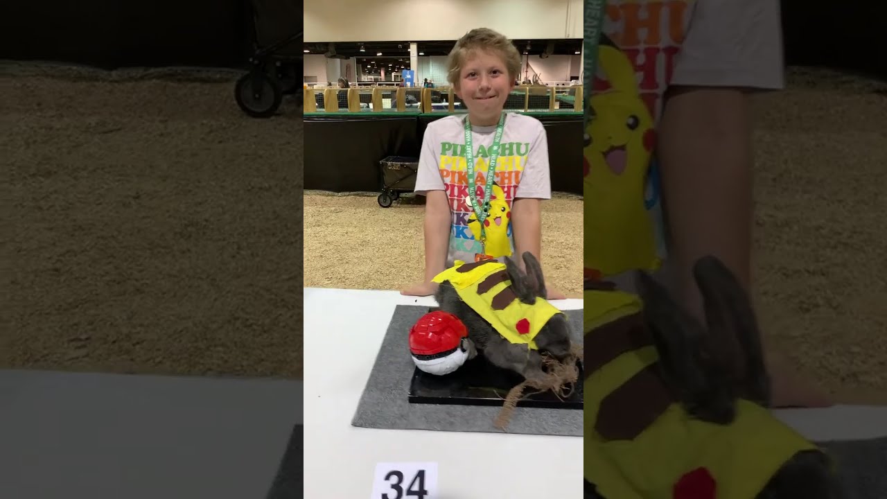 Costume Contest Houston Livestock Show and Rodeo